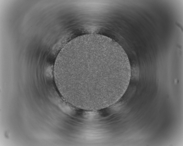 X0000103960286200810171909