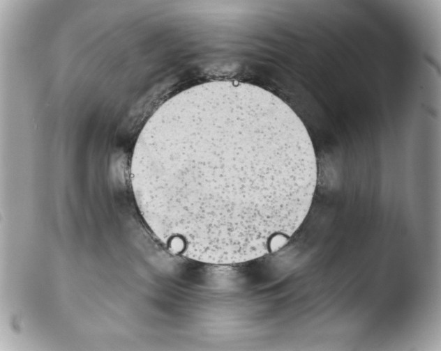X0000103960287200810171909