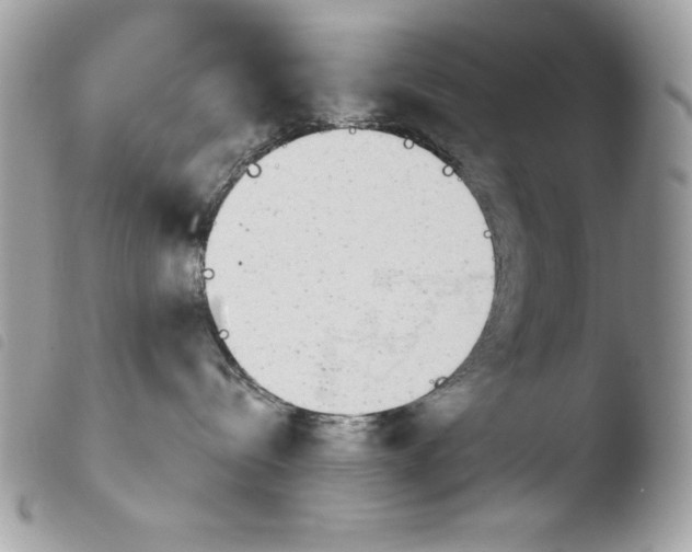 X0000103960288200810171909