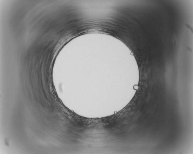 X0000103960289200810171908
