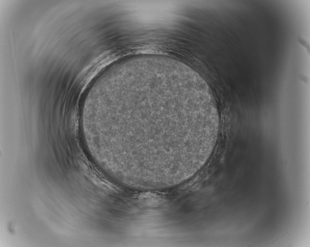 X0000103960290200810171908