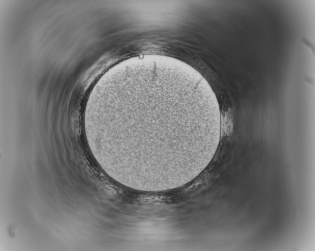 X0000103960291200810171908