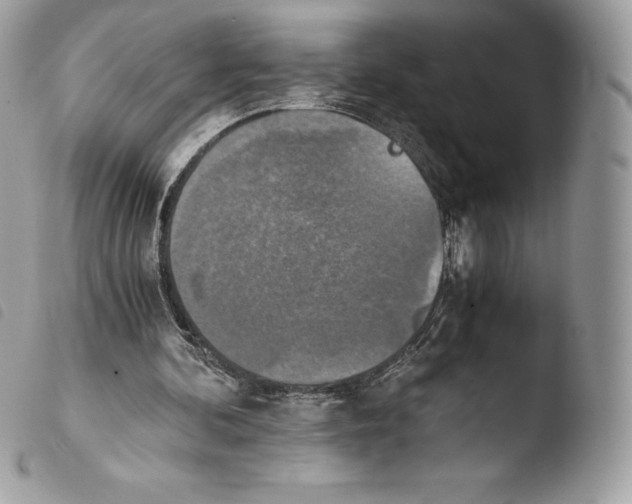 X0000103960292200810171908