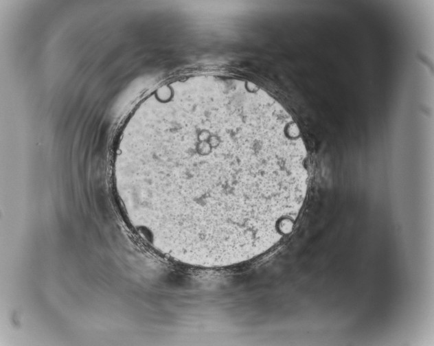 X0000103960293200810171908