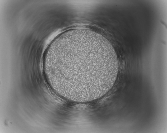 X0000103960294200810171908
