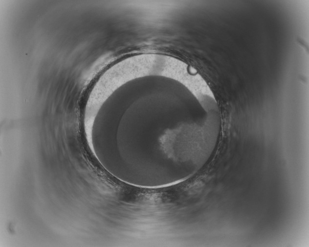 X0000103960295200810171908