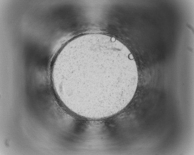 X0000103960296200810171908