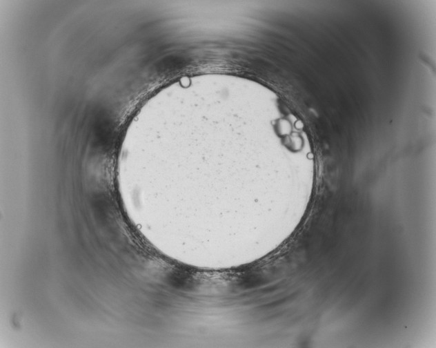 X0000103960297200810171908