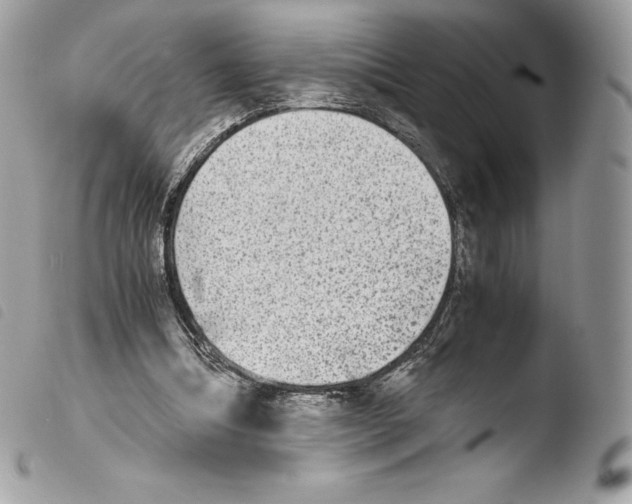 X0000103960298200810171908