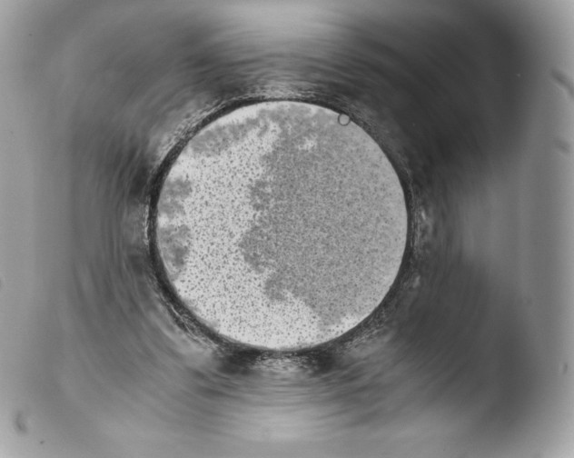 X0000103960299200810171908