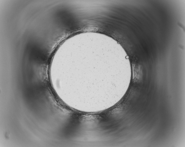 X0000103960300200810171908