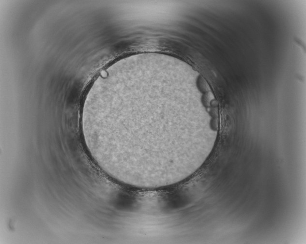 X0000103960301200810171908