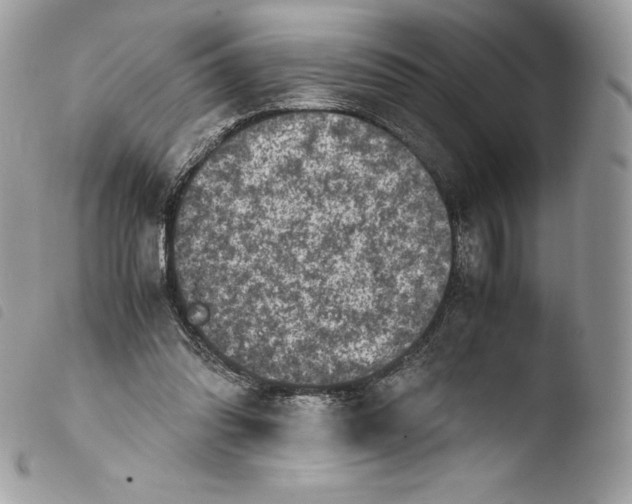 X0000103960302200810171908