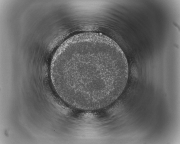X0000103960303200810171908
