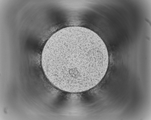 X0000103960305200810171908