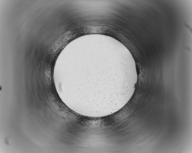 X0000103960306200810171908