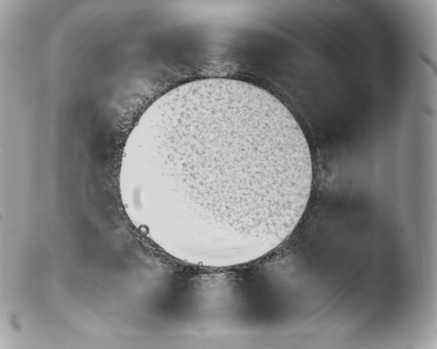 X0000103960307200810171908