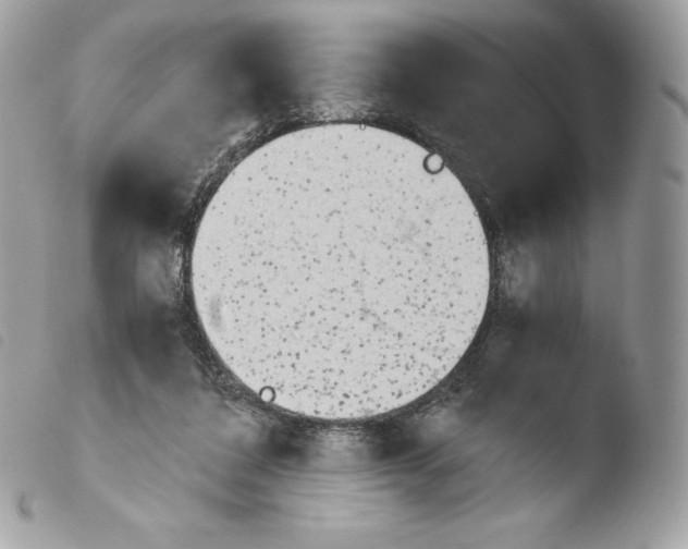 X0000103960308200810171908