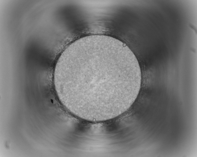 X0000103960309200810171908