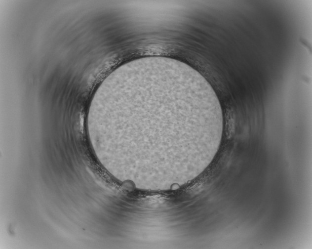 X0000103960310200810171908