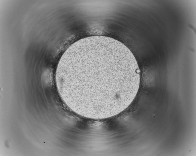 X0000103960312200810171908