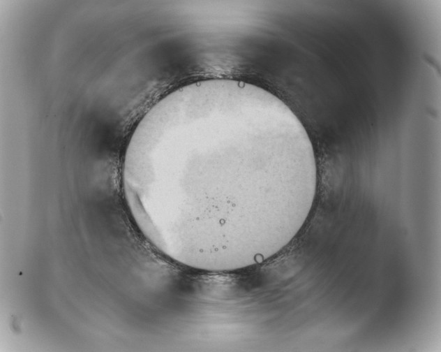 X0000103960313200810171908