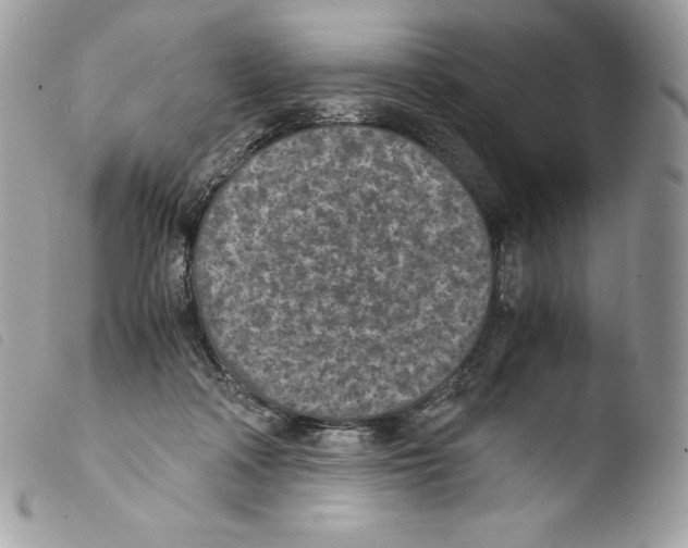 X0000103960314200810171908