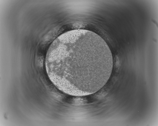 X0000103960315200810171908