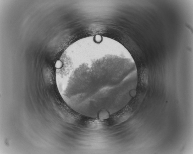 X0000103960316200810171907