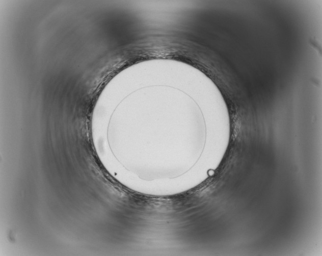 X0000103960317200810171907
