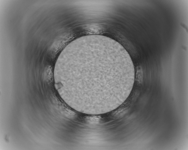 X0000103960318200810171907