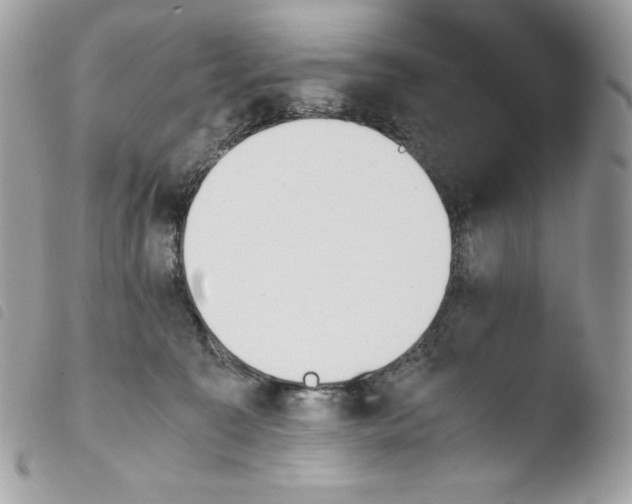 X0000103960323200810171907
