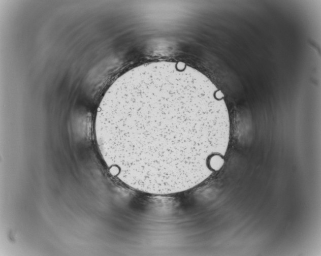 X0000103960328200810171907