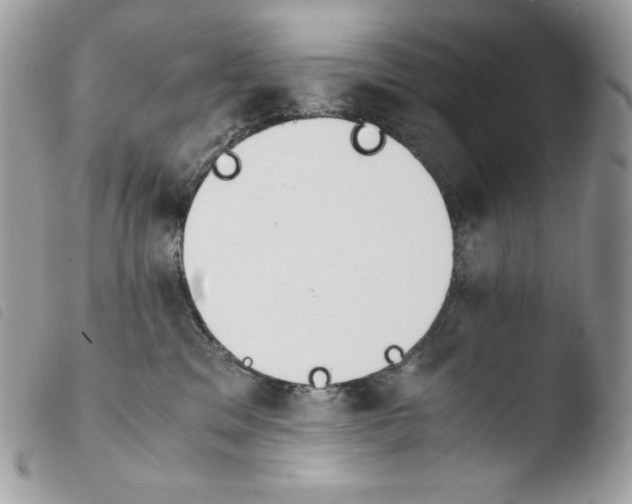 X0000103960329200810171907
