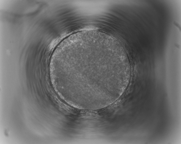 X0000103960337200810171906