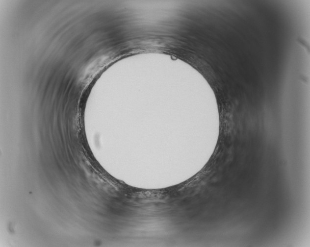 X0000103960338200810171906