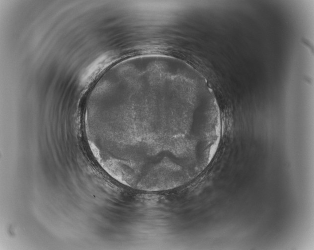 X0000103960339200810171906