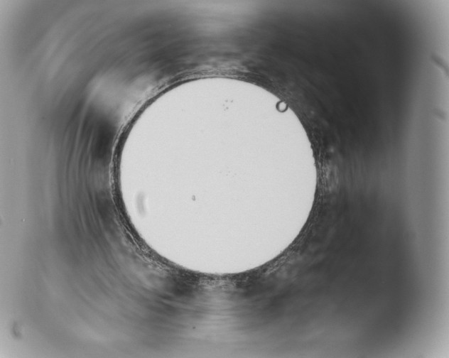 X0000103960340200810171906