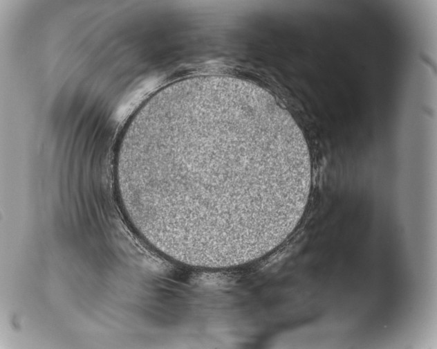 X0000103960341200810171906