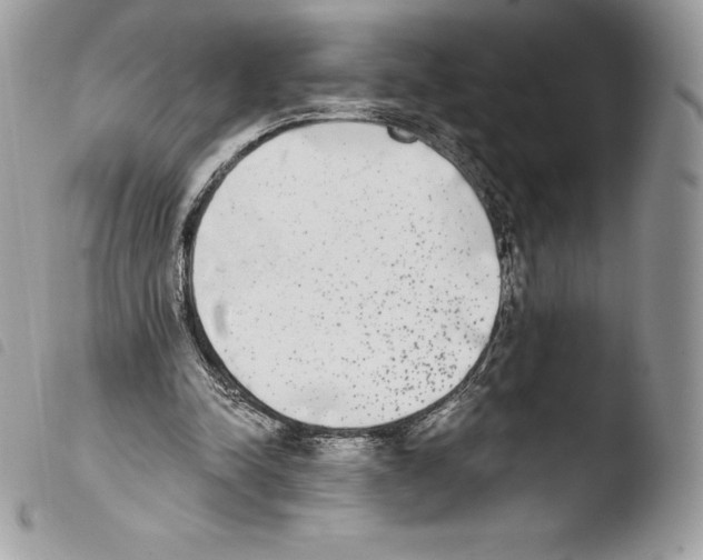 X0000103960342200810171906