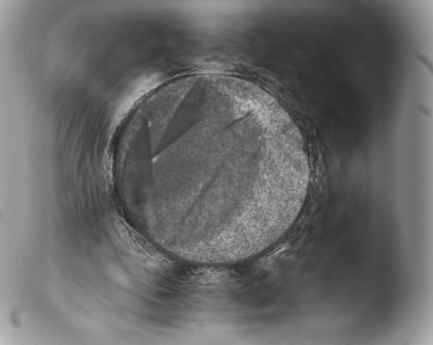 X0000103960343200810171907