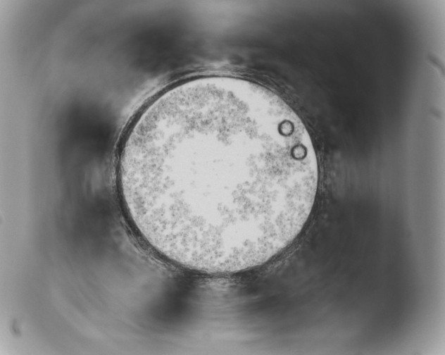 X0000103960344200810171907