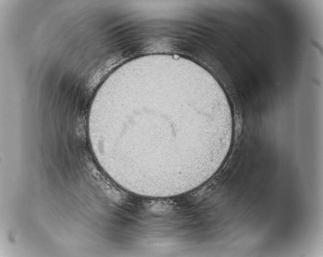 X0000103960345200810171907