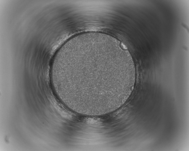 X0000103960346200810171907