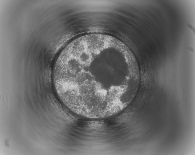 X0000103960347200810171907