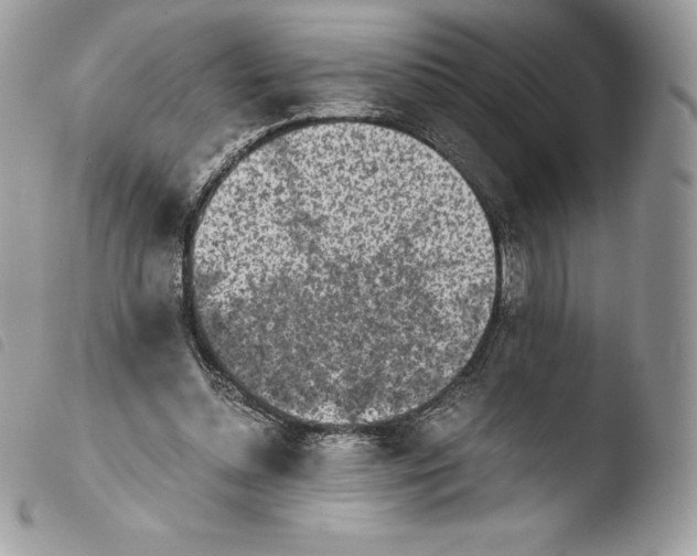 X0000103960348200810171907