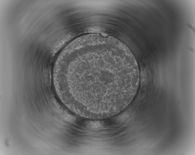 X0000103960349200810171907