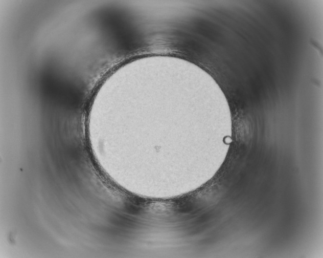 X0000103960350200810171907