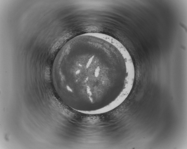 X0000103960353200810171907