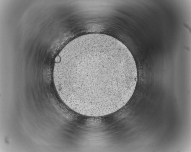 X0000103960354200810171907